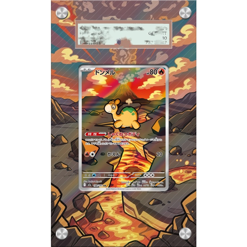 Anime Merchandise From Japan - Estuche Protector Acrílico para Tarjetas Pokémon,