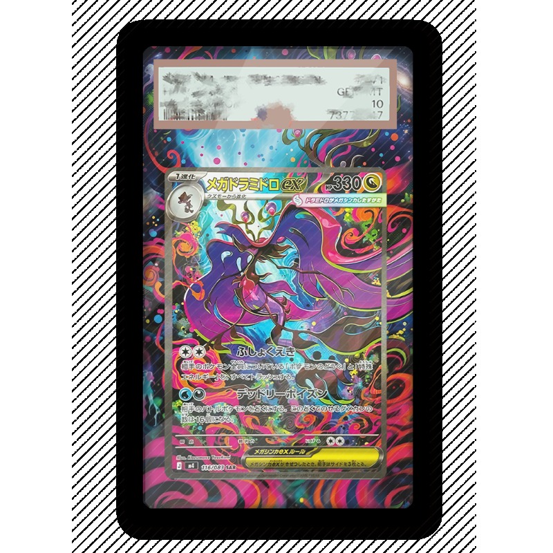 Estuche Protector de Acrílico  - Anime Merchandise From Japan reseña y precio