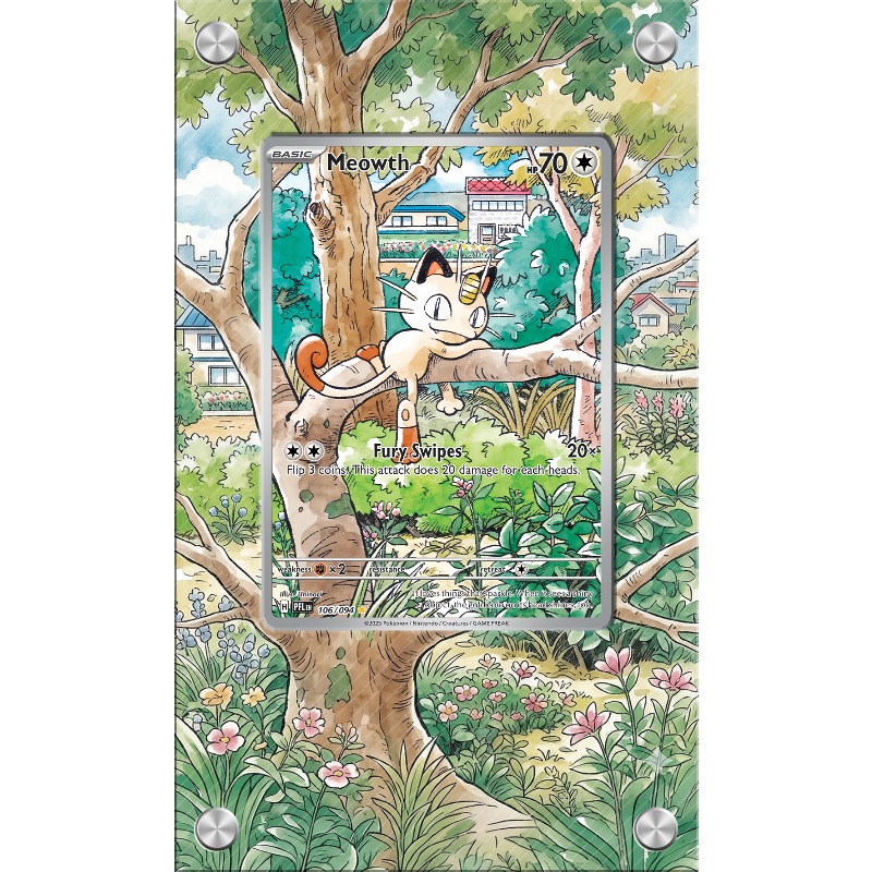 Estuche Protector Acrílico par - Anime Merchandise From Japan reseña y precio