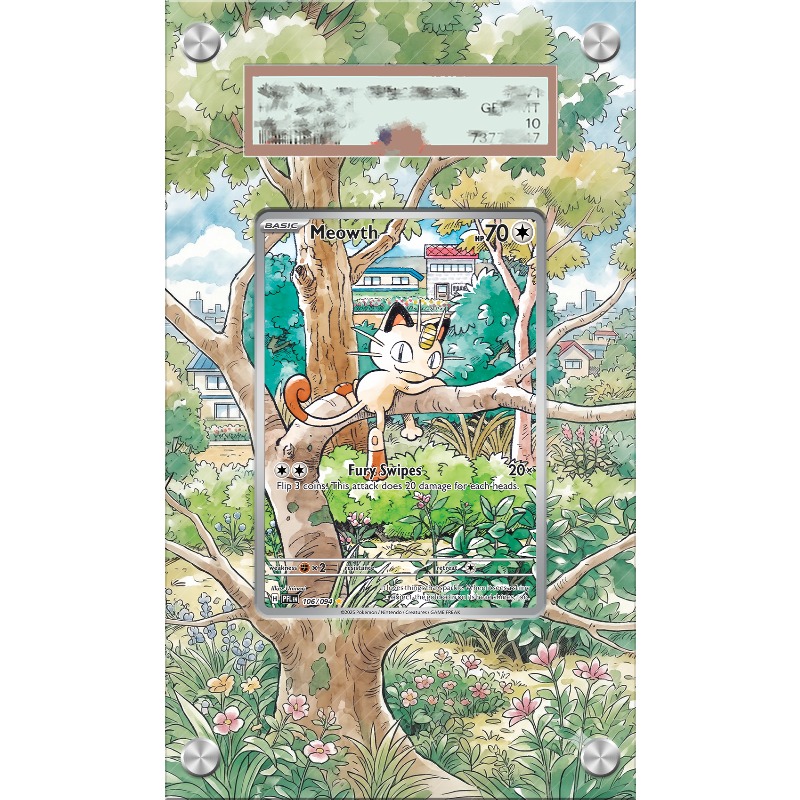 Estuche Protector Acrílico par - Anime Merchandise From Japan reseña y precio