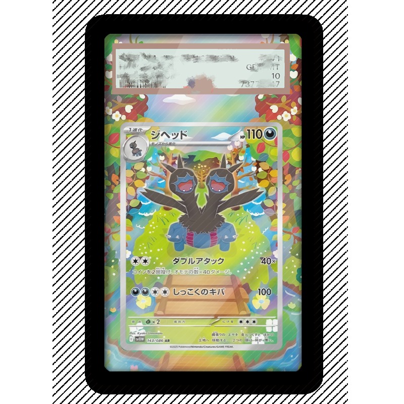 Estuche Protector Acrílico par - Anime Merchandise From Japan reseña y precio