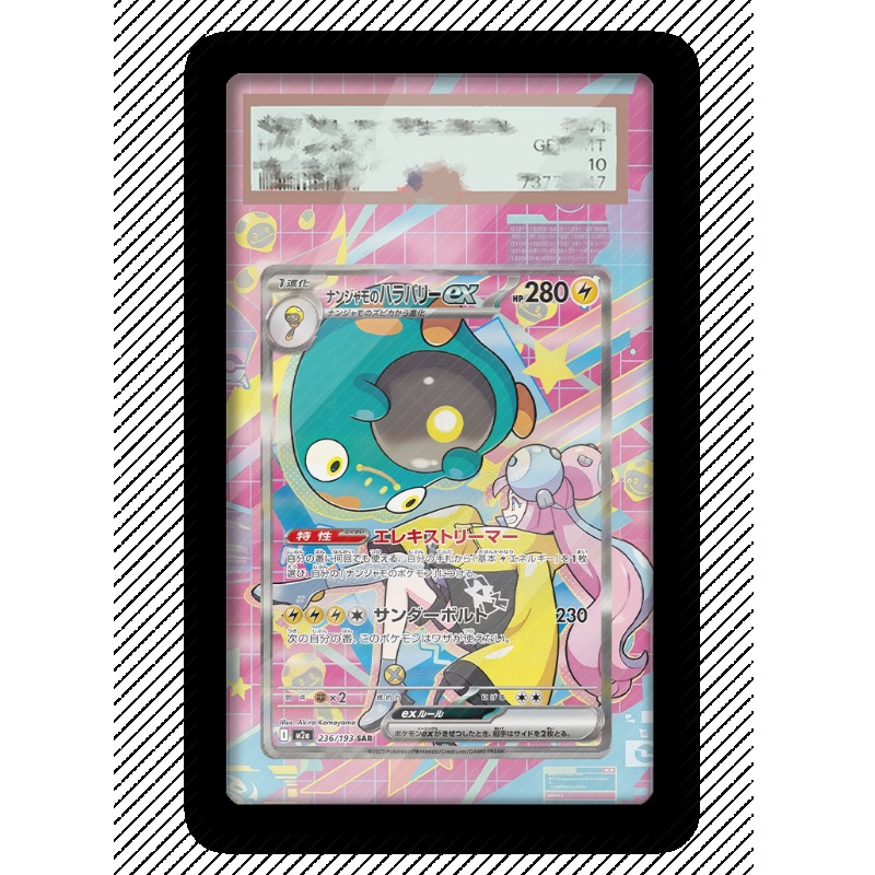 Estuche Protector de Acrílico  - Anime Merchandise From Japan reseña y precio